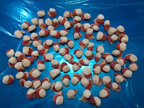 Frozen shells
