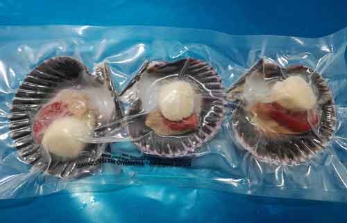 Vacuum sealed shells ready to ship