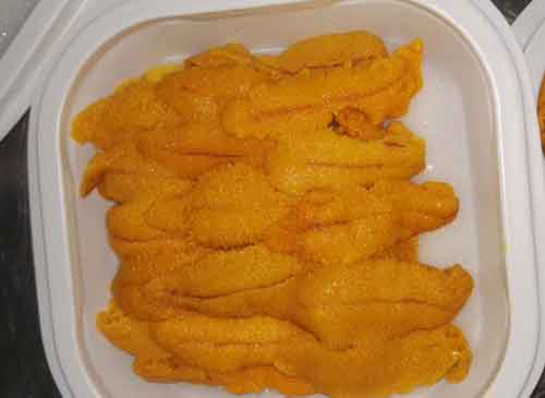 Portion of frozen sea urchins