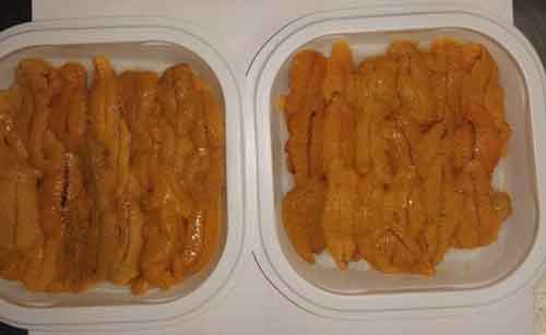 Frozen sea urchin strips