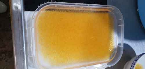 Yellow eggs