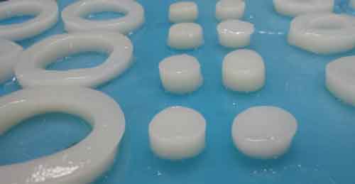 Squid in pieces, rings and buttons