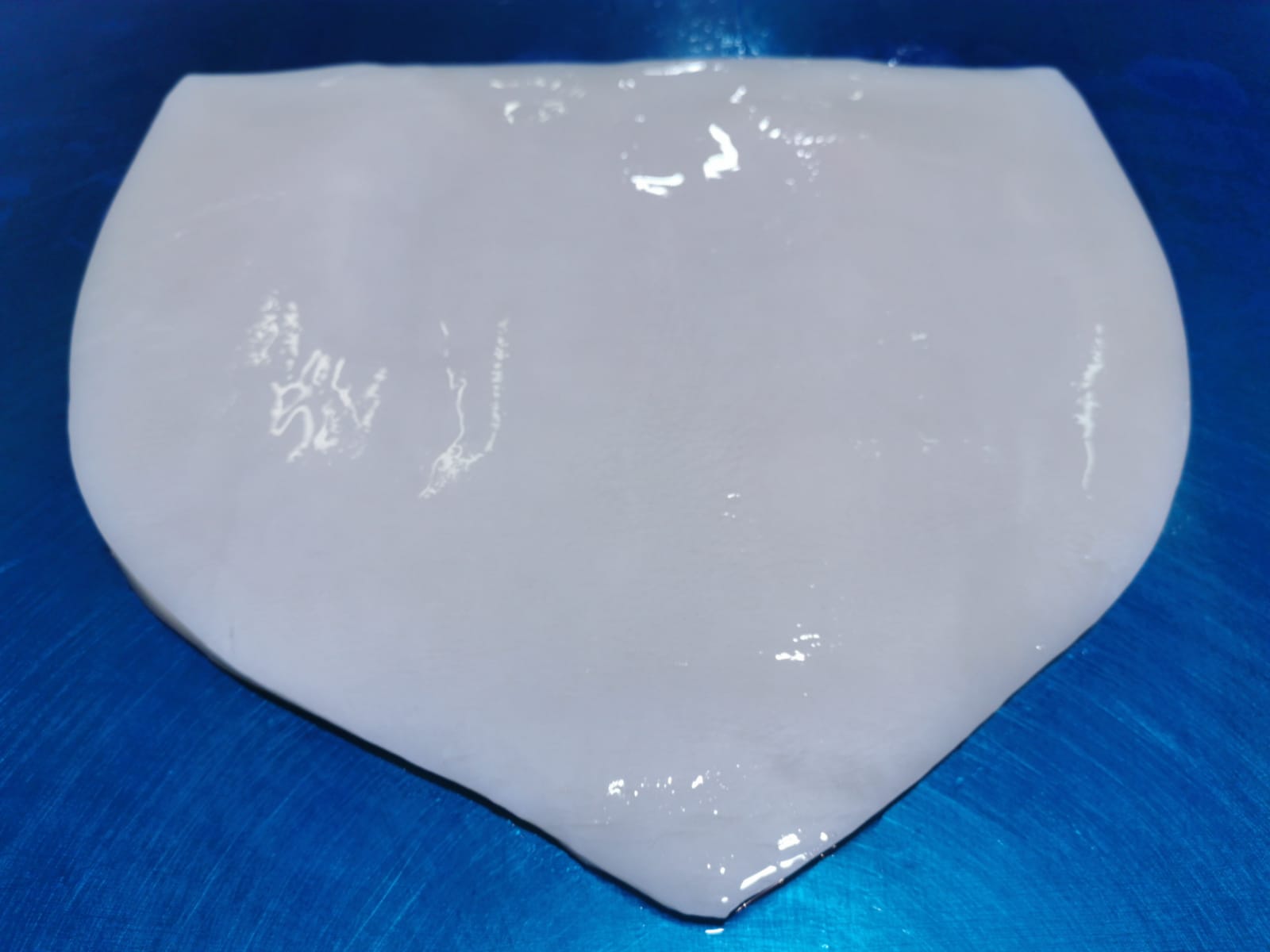 Squid fillet