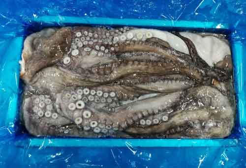 Block of Octopus being prepared for shipment